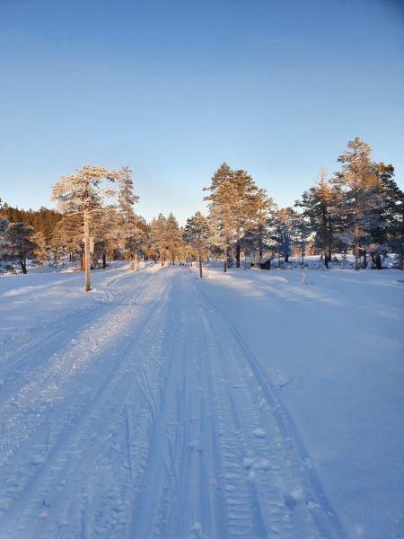 Månedens trimpost desember og januar